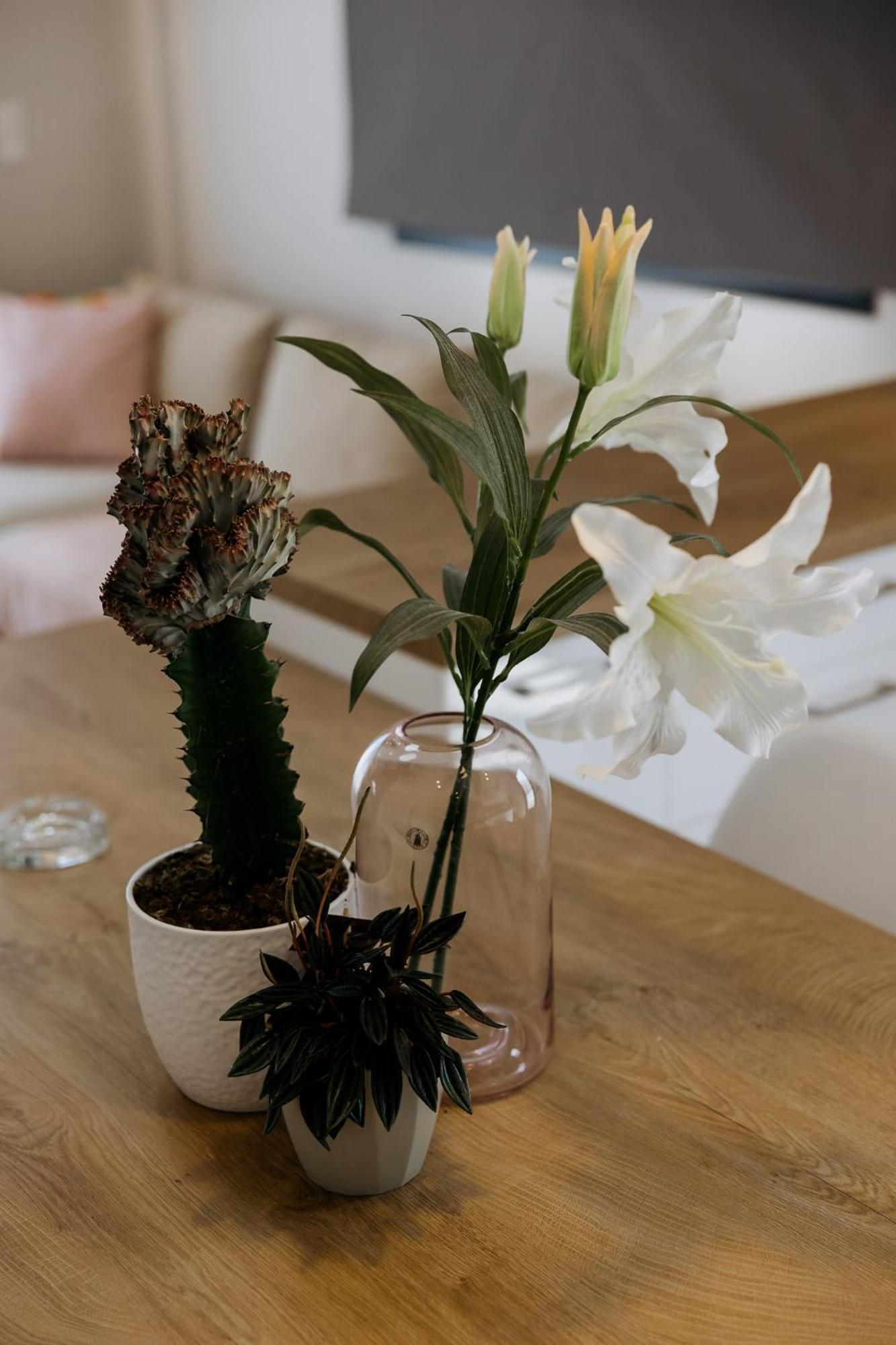 Apartment Serenity By Corfu Collection *